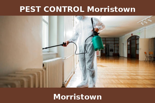 PEST CONTROL Morristown